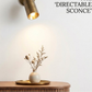 1950's Mid Century Italian Brass Diabolo Sconce, Raw Brass Finish Lamp