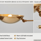 Mid Century Modern TWO sputnik light | Antique Brass Light Fixture | Stilnovo Style Modern Brass Chandelier Custom Light